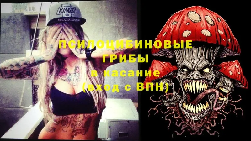 MEGA зеркало  купить  цена  Изобильный  Галлюциногенные грибы Psilocybine cubensis 